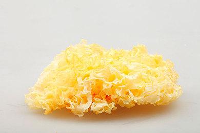 《X4：基石》DLC贪婪之潮正式发售 5.00版本更新同步上线